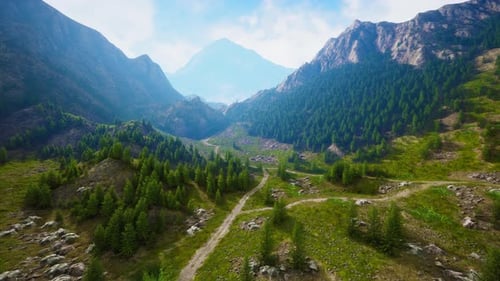 Winding Road in the Mountains with Pine Forest