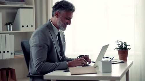 Mature businessman works on computer at his office desk