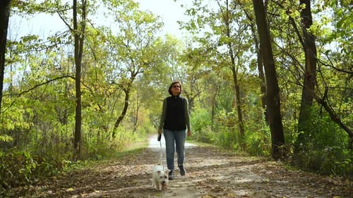 A Woman Walks Her Small White Dog Along a Forest Trail on a Sunny Day Green and Yellow Autumn