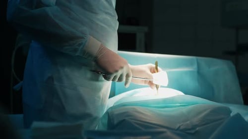 Cropped Shot of Surgeons Care Wound Perform Abdominal Surgery on Patient Lying in Operating Room