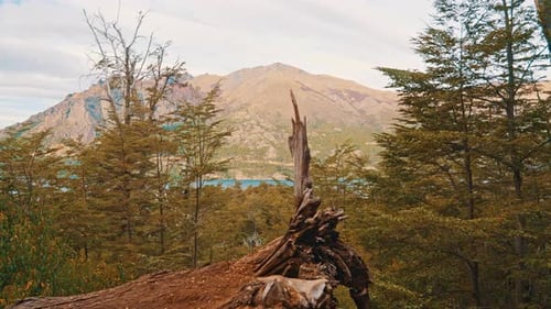 Autumn lake and mountain forest.