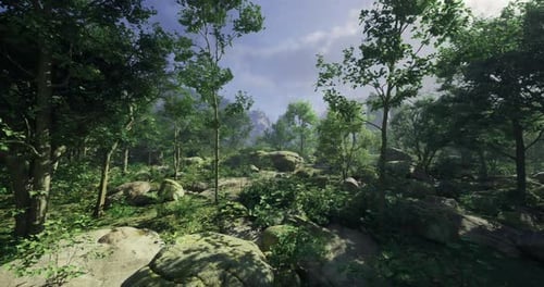 Lush Green Forest with Rocky Terrain Under a Bright Blue Sky in Daylight