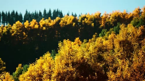 Tal mit Herbstbäumen inmitten der Berge, die bei Sonnenuntergang von der Sonne beleuchtet werden