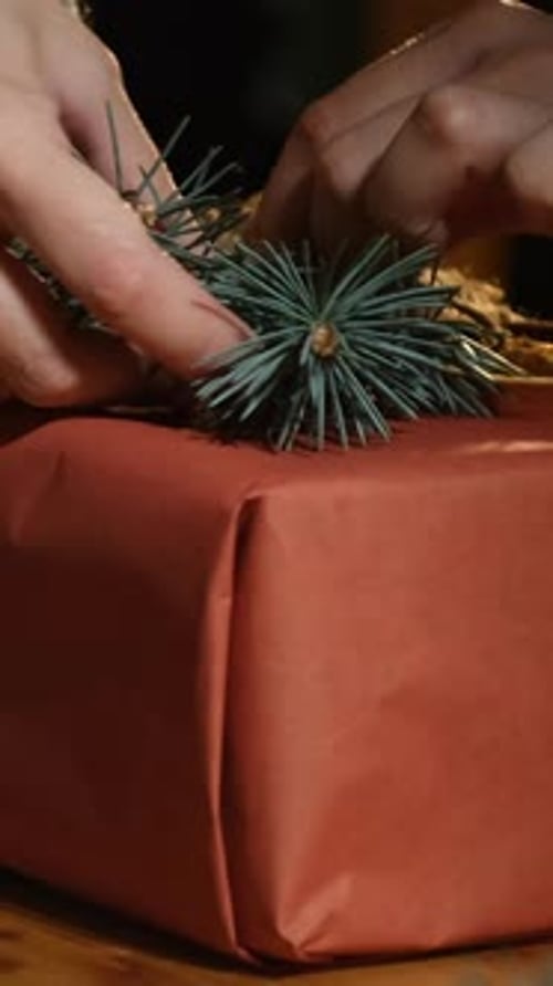 Vertical Video Hands Decorating Christmas Present