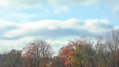 Time lapse of the clouds and their shadow over trees.