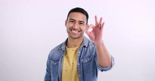 Happy man, okay and agreement in studio, face and approval emoji by white background