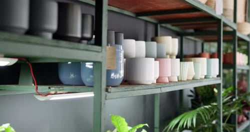 Stylish display of diverse plant pots on shelves