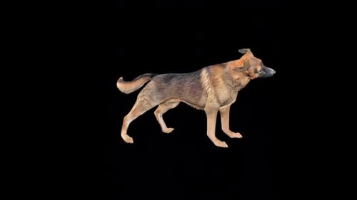Animated German Shepherd Dog Running