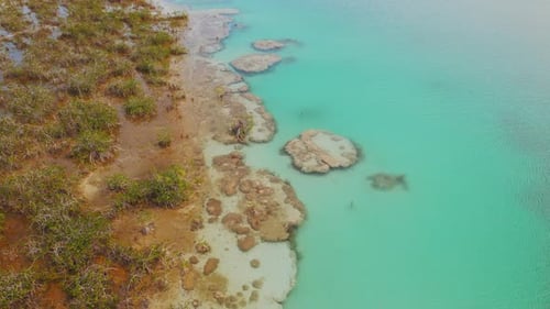 Vue aérienne de la lagune de Bacalar au Mexique montrant les eaux turquoises et les stromatolites le long du rivage d