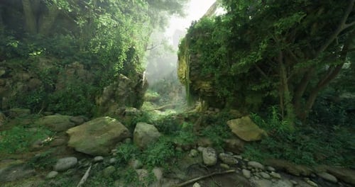 Misty Forest Path with Sunlight Shining Through Lush Greenery