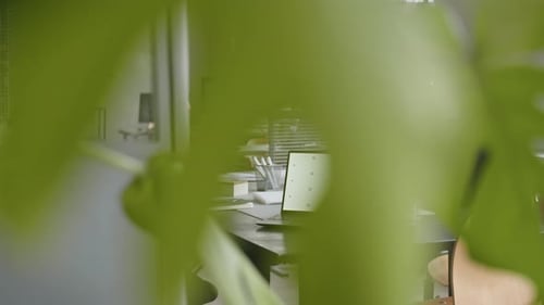 Laptop with Copy Space Screen in Green Office