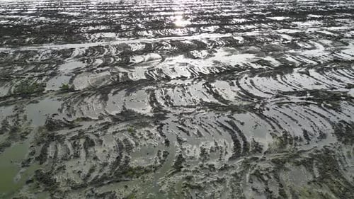 Aerial view the muddy land of land clearing