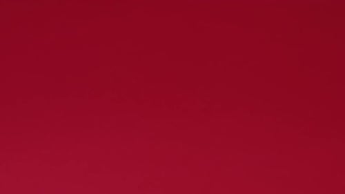 White Present with Red Ribbon on Red Background