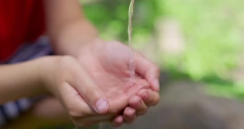 Water Pouring onto Child's Hands in a Garden
