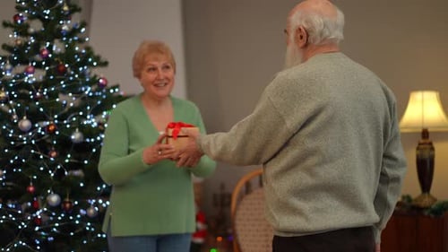 Senior Couple Exchange Christmas Gift at Home