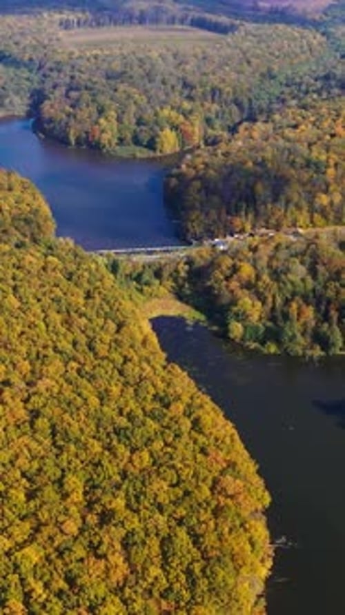 Paysage magnifique de forêts en automne. Vue aérienne des forêts par temps ensoleillé.
