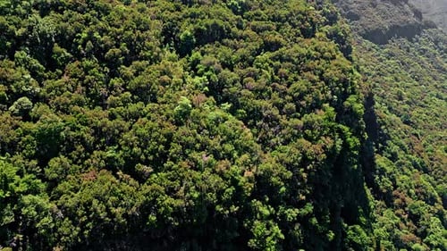 Luftaufnahme: Bewaldete Hänge mit Klippen, Bergen, Gelände, bewachsene Vegetation