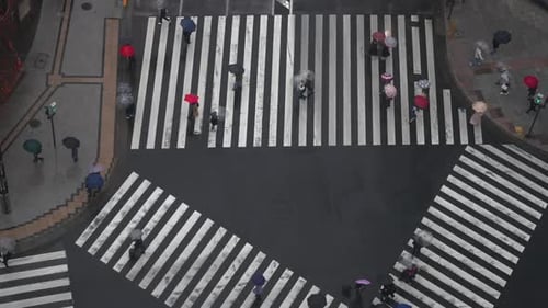 4K Высокий угол обзора: толпа людей, пересекающих пешеходный переход в Токио, Япония, в дождливый день