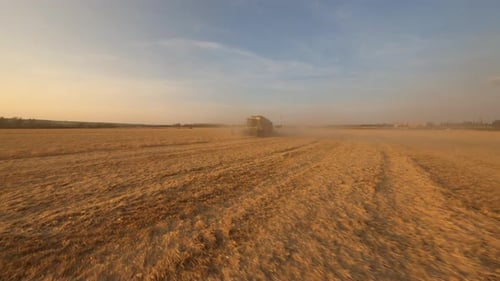 FPV-Drohne fliegt zur Mähdrescher-Landwirtschaftsmaschine, die goldene Reife auf einem Weizenfeld in erntet