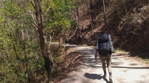 Walking POV follows female backpacker on road on jungle mountainside