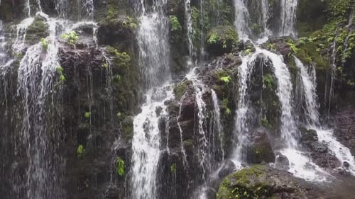Aerial ascends low flow waterfall to dense green tropical jungle above