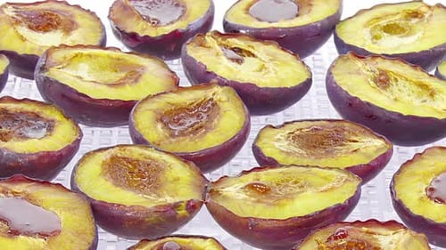 Time lapse of drying blue plum