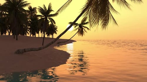 Travel trip to the tropics with palm trees and vacation at sea at sunset.