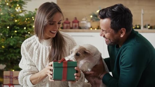 Loving Couple Giving Christmas Gift to Dog