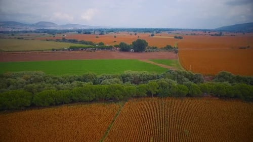 farmland drone view