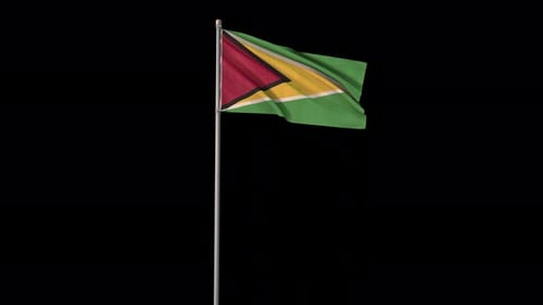 Guyana National Flag Waving in Realistic Wind