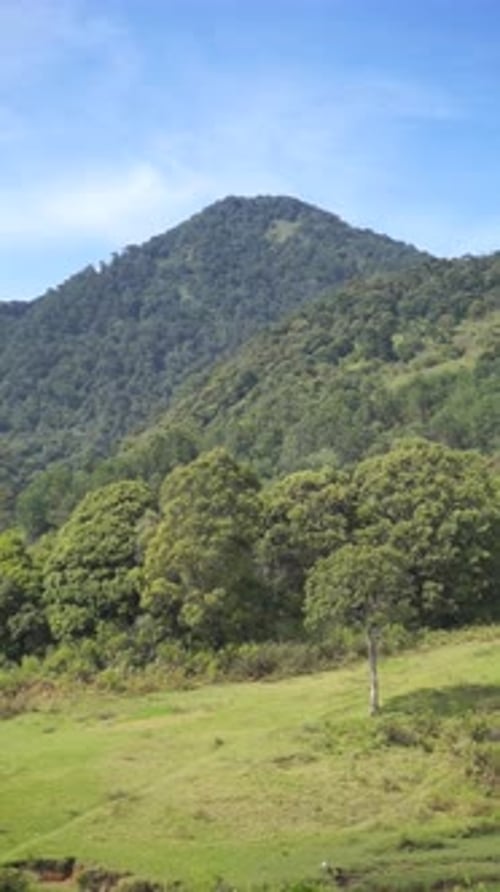 natural mountain scenery, natural hill panorama, tall green forests and green slopes during the day