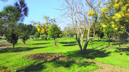 Cityscape of public park on bright sunny day, flight of drone.