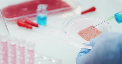 Slow motion close up of a scientist is inspecting and analyzing with syringe the cultured artifici