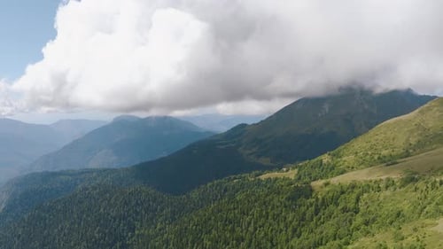 Aerial View of Green Forest and Mountain