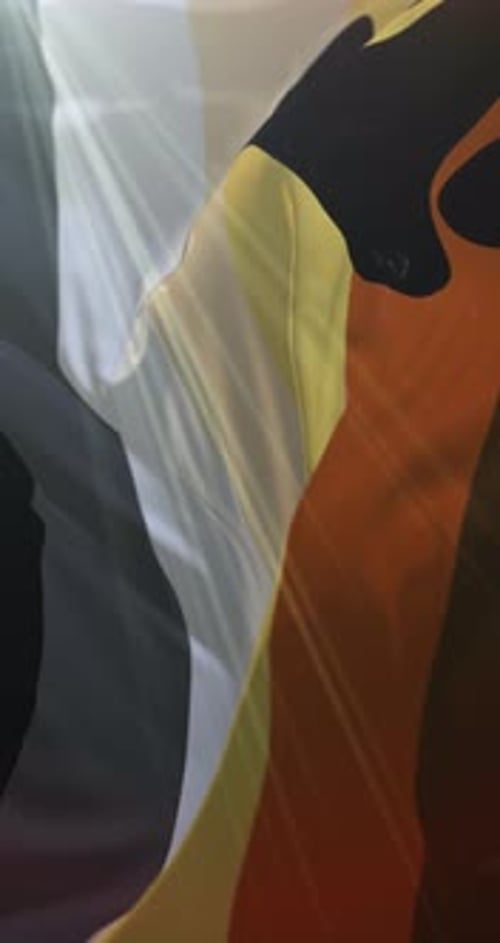 International Bear Brotherhood Flag