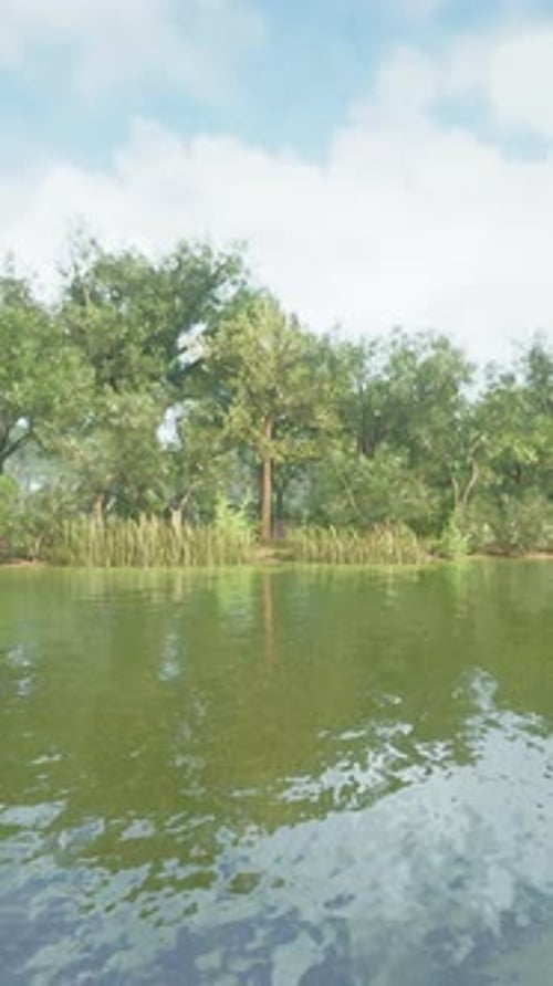 Landscape in City Park with Lake
