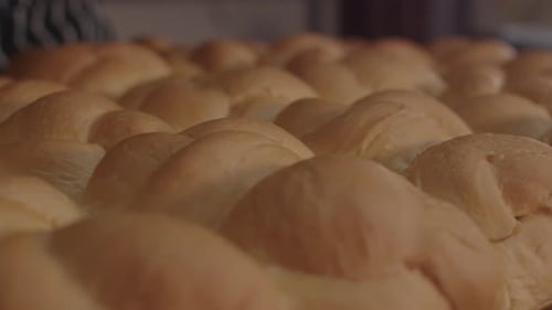 Close up of the surface of dinner roll bread.