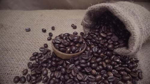 Coffee beans spilled on burlap with wooden bowl
