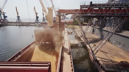 Grain Loading to Bulker Ship Cargo Container at Sea Grain Terminal in Seaport Grain Shipment From