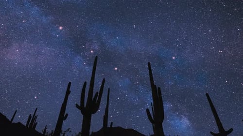 time lapse milky way, with foreground silhouette of trees
