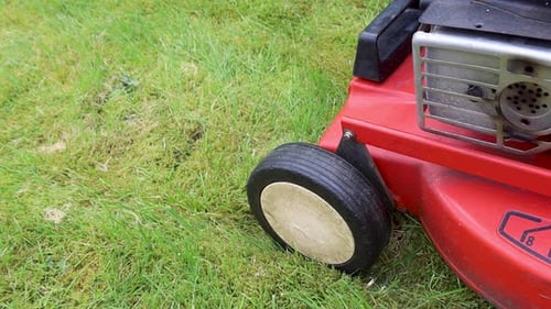Video walking with a push mower.