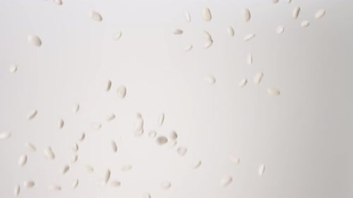 Dried raw Great Northern Beans Cassoulet Raining Slow Motion White Backdrop Falling Closeup