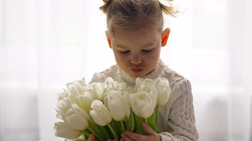 Cute Child Smelling White Tulips Bouquet
