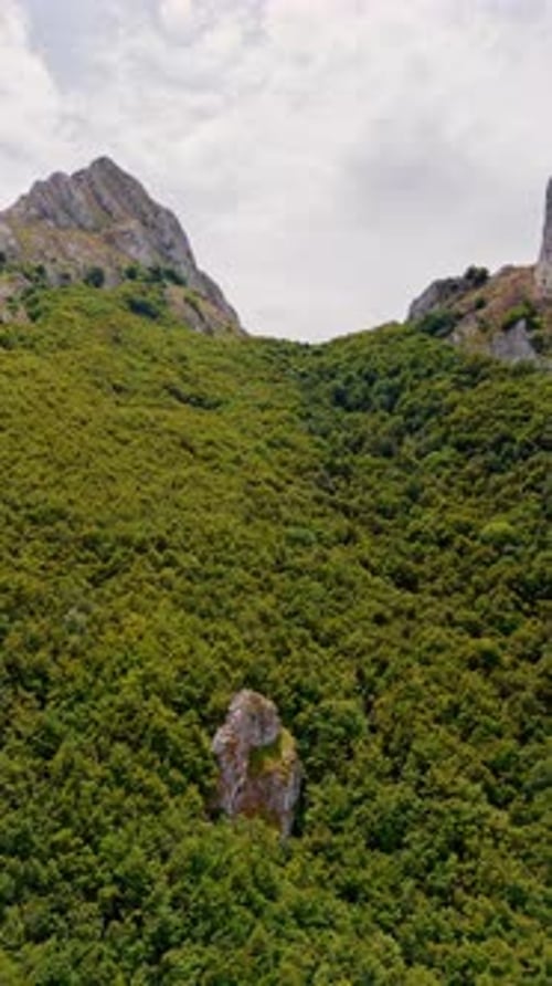 Kahle Felsen ragen aus dem üppigen Grün heraus. Tiefwinkelblick auf die Berge