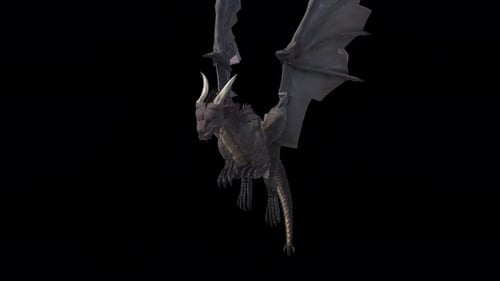 Fantasy Dragon Creature Soaring Alpha Channel Animation