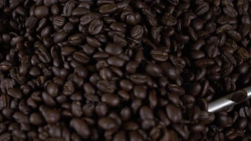 Roasted Coffee Beans Turning in Roasting Machine