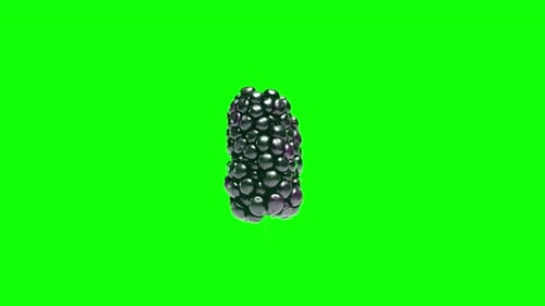 Rotating blackberry isolated on editable green screen background Stereoscopic visualisation