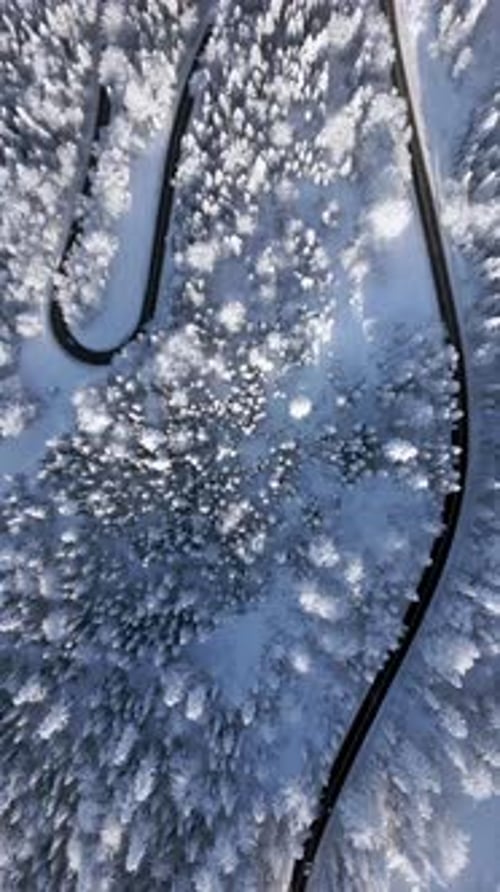 Top View of Cars Driving Through the Snowy Mountain Forest in Winter