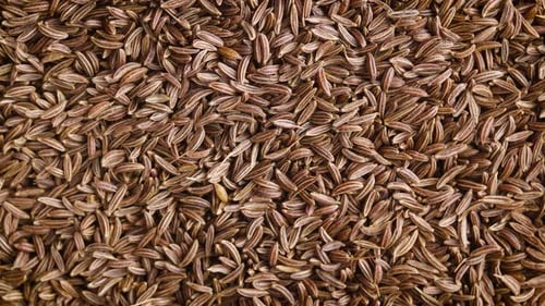 Getrockneter Kümmelsamen-Hintergrund 2