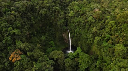 Focused huge incredible waterfall flowing in dense rainforest environment